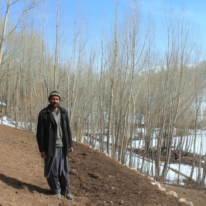 Afghanaid terraces hillsides to reduce the dangers of snow-melt